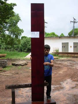 hardwood lumber, rare wood and figured hardwoods