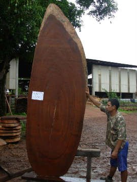 hardwood lumber, rare wood and figured hardwoods