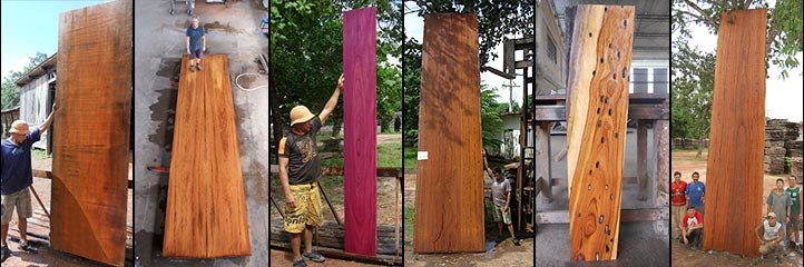 rare wood and tropical hardwoods for sale in Brazil